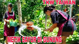 BEGINILAH DAPAT JOB DI GUNUNG SAYURAN PUN NANAM SENDIRI