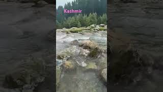 Kashmir Doodh pathri #India Beautiful ❤️ Place #Shorts