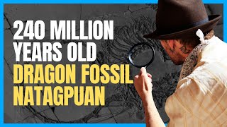 NADISKUBRE! LABI NG DRAGON FOSSIL NATAGPUAN SA CHINA