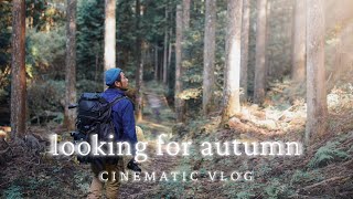 looking for autumn | cinematic vlog | japan | 龍鎮神社 | 深谷龍鎮渓谷 | 奈良県 | shot on a7S3