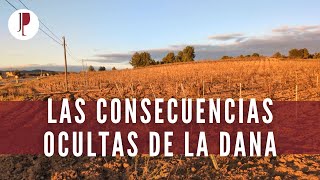 Las consecuencias ocultas de la DANA