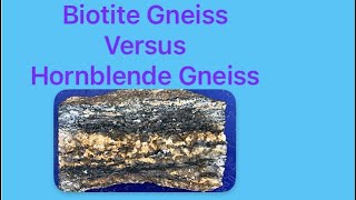 Biotite Gneiss Or Hornblende Gneiss?