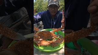 enaknya makan kepiting rajungan dagingnya enak dan juga manis