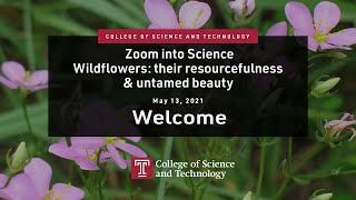 Zoom into Science: Wildflowers