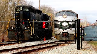 (4K) And now the Sunday Reindeer Express... 11/17/24