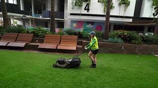 Landscape Maintenance - South City Square