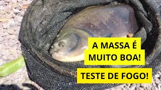 PROVANDO QUE FUNCIONA! PESCARIA DE TAMBA NA MASSA!