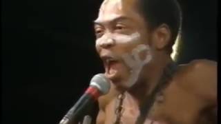 FELA DIVINATION NIGHT 1987