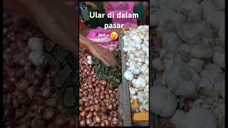 Ngeri ngeri sedap‼️ ni ular sampe masuk pasar⚠️ #snake #video #fyp #ular