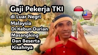 Gaji Pekerja TKI Luar Negri Malaysia di kebun Durian Malaysia Beserta kisahnya.