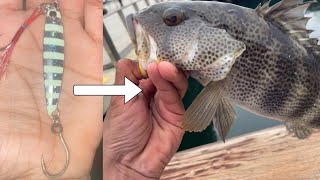 Catching Loads of Fish With Metal Jigs! - San Diego Fishing