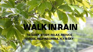 Walk In Rain (to Sleep, Study, Relax, Reduce Stress, help insomnia, fly in sky)