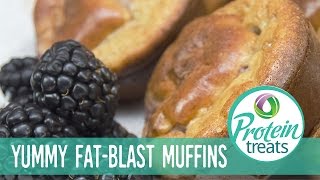 Raspberry Protein Muffins – Protein Treats by Nutracelle