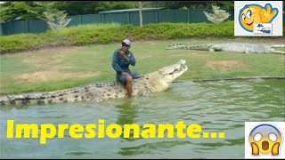 🚨🚨 Este hombre no le teme ni a Godzilla 🤯🐊