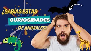 Increíbles Curiosidades del Mundo Animal: ¡No Podrás Creer lo que Descubrimos!