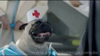 AXA - Comercial de TV - Propaganda com Pug