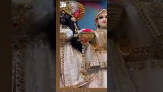 RadhaKrishna #vrindavan #bhakti #radhakrishna #krishna #youtubeshorts