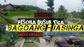 pedesaan diperbatasan jawa barat dan banten |kampung parung kembang pasir kandang dan jolpot bagoang