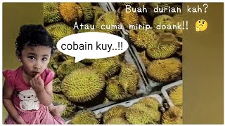 BUAH BERDURI TAPI BUKAN DURIAN !! APAAN TUUHH.....