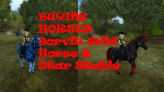 BUYING HORSES Jorvik Wild Horse & Star Stable