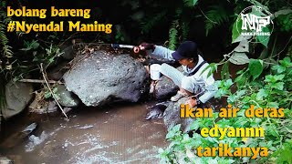 Tarikan ikan air deras....bolang bareng #NyendalManing