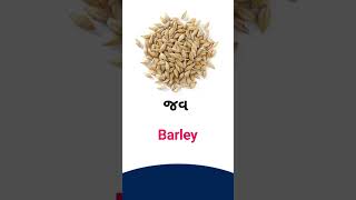 Barley meaning in Gujarati - English Dictionary