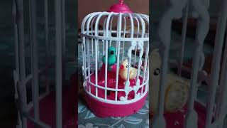 talking parrot #parrot #nest #volgs #childrens #kid's