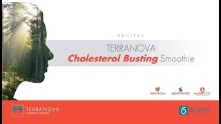 TERRANOVA Cholesterol Busting Smoothie