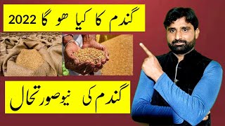 New Support Price Of Wheat | گندم کی نئ قیمت | Market Rate Of Wheat 2022