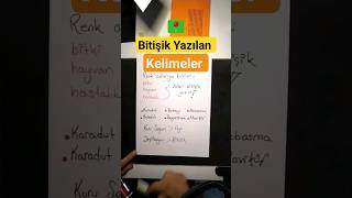 Tyt Türkçe Hap Bilgiler| Bitişik Yazılan Kelimeler #tyt #tytturkce #yks2023 #turkcedersleri #tyt