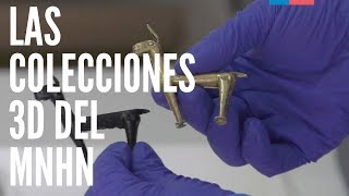 Colecciones MNHN en 3D