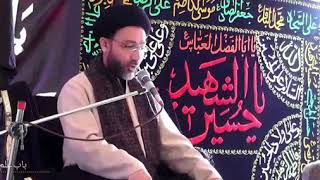 Ilana-E-Walayat-Mola-Ali-a.s  Allama Syed Shahenshah Hussain Naqvi