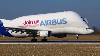 Airbus A300-600ST Beluga takeoff at Finkenwerder 02.03.2018