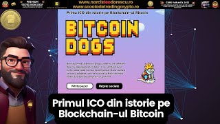 Primul Meme pe Blockchain-ul Bitcoin!