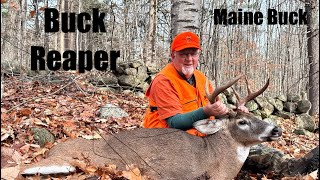 Maine Buck Down !