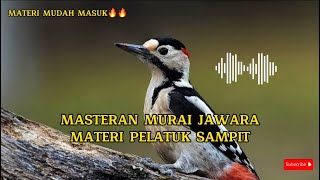 Masteran Pelatuk sampit gacor , Nembak panjang kasar 🔥🔥#masteranpelatuk #masteranmuraibatu #sogon