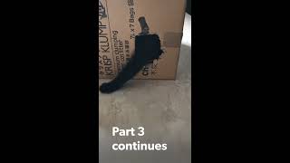 Cute Cat grabbing money from the box