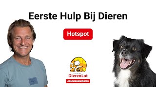 Wat is hotspot bij je hond?