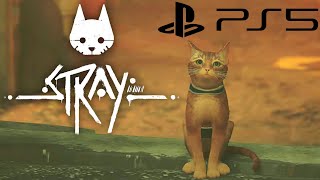 Stray PS5 Gameplay - The Slums