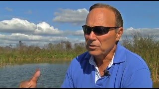 Oxygenation may finally cleanup Lake Apopka