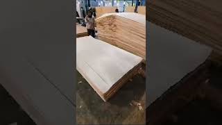 Faceback veneer sengon #plywood #veneerfaceback #veneershortcore