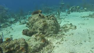 Pierbaai and Car Pile, Curacao January 2024