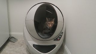 THE $500 LITTER BOX!