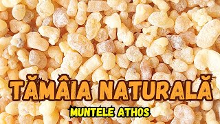 ✠ TĂMÂIA NATURALĂ – Muntele Athos ✠