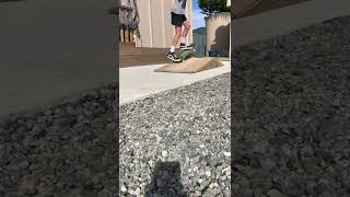 Pop shuv it to fakie