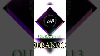 Quran313