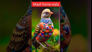 Maaf karne wala #ajmalrazaqadri #islamaicbayan #motivation