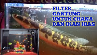 FILTER GANTUNG AQUARIUM | REVIEW FILTER GANTUNG