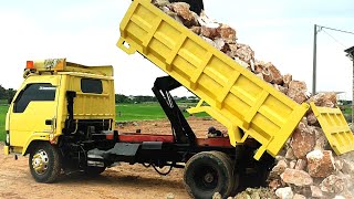 Mobil Dump Truk Pasir Bongkar Muatan Batu Gunung Putih Di Pinggir Sawah