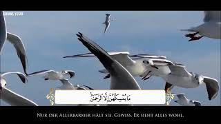 Atemberaubende Koran Rezitation Surah al Mulk Muhammad Al Muqit-DEUTSCH